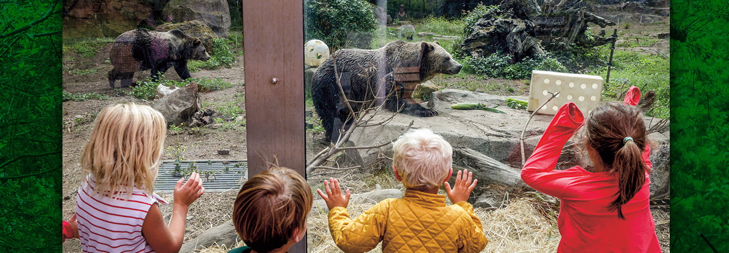a group of kids watch grizzly bears behind a window at a zoo